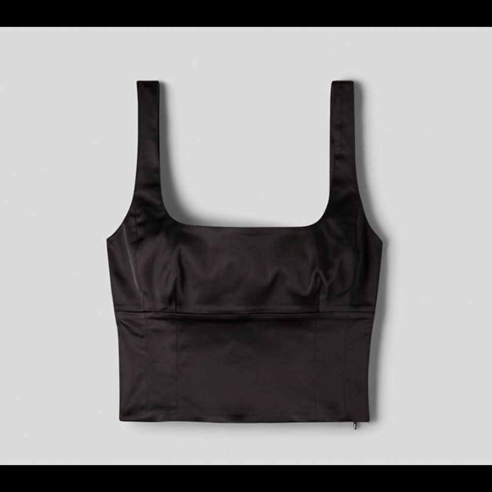 Aritzia Shine Bustier